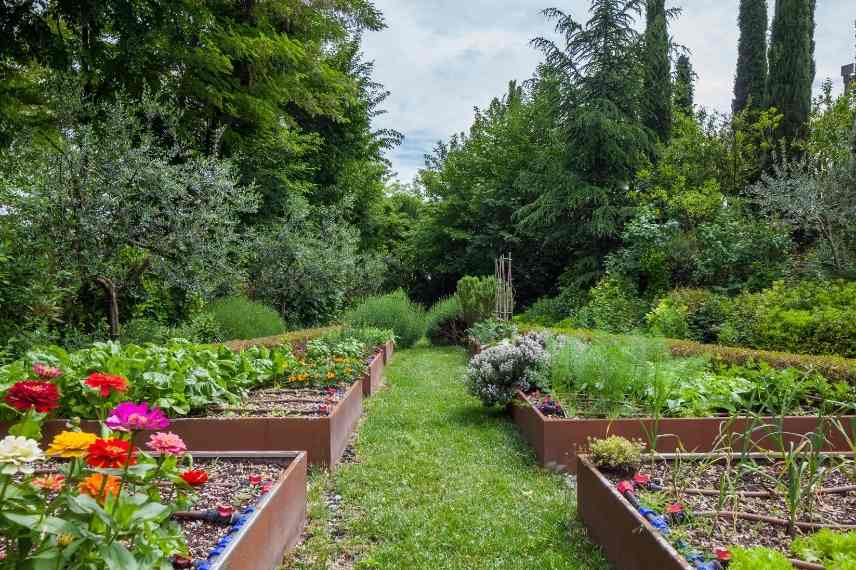 potager terre limoneuse