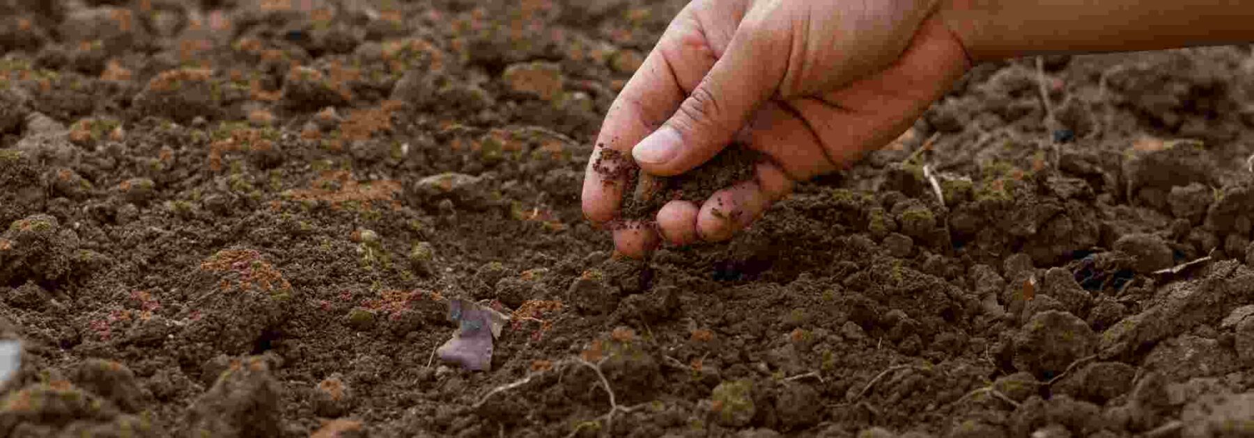 Comment préparer le sol pour commencer son potager ?