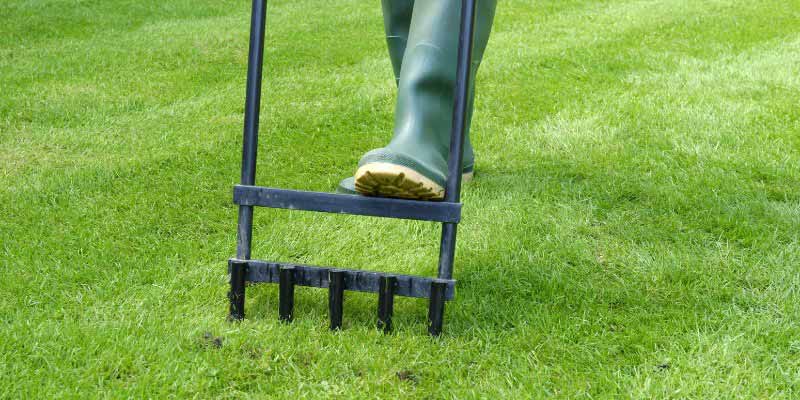 Aération du gazon avec une fourche à aérer