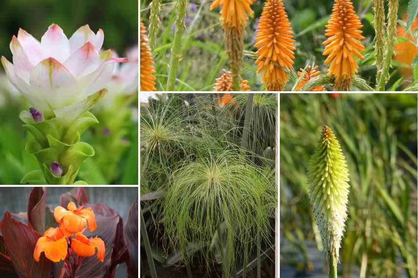 green flowers orange flowers association