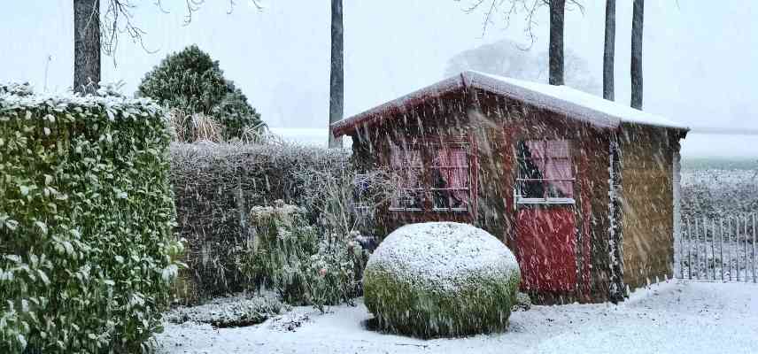 hiver au jardin