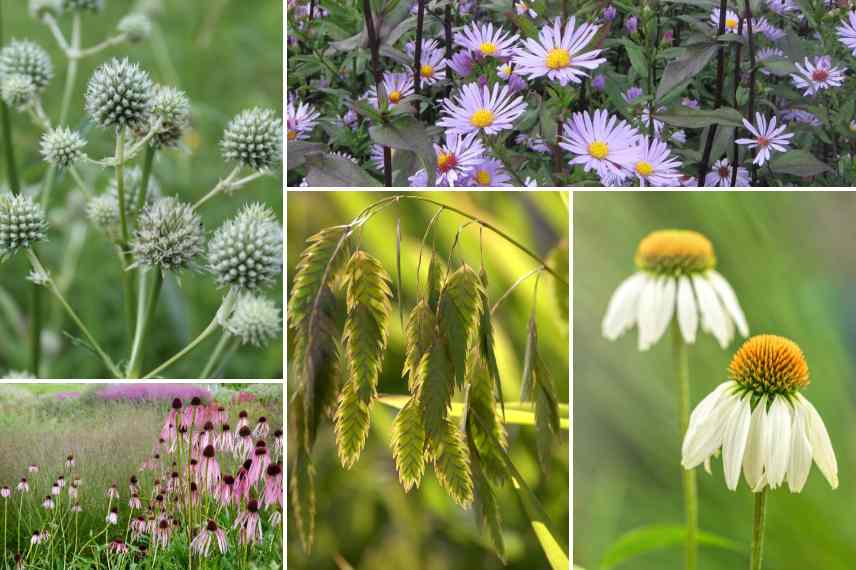 natural garden green flowers