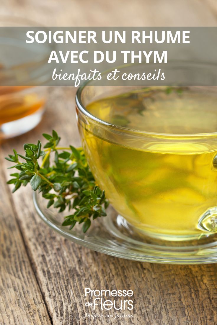 l'infusion de thym permet d'aider à soigner un rhume