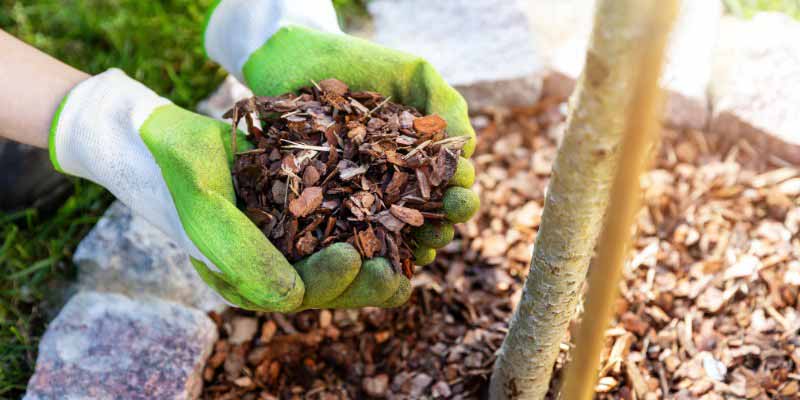 Comment pailler son jardin