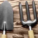 Jardinage débutant : comment bien choisir ses outils ?