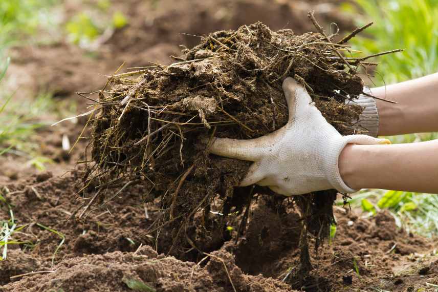 alternatives aux baches au jardin