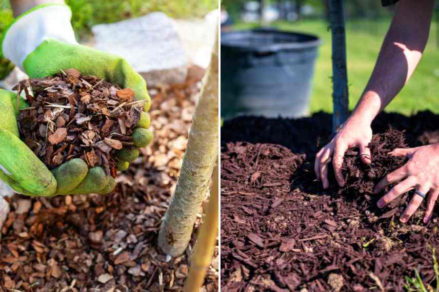 mise en place paillage sur massif