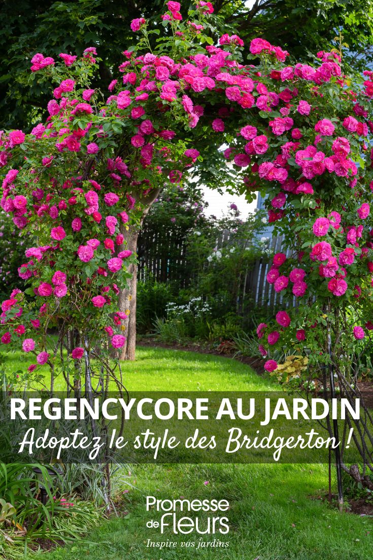 une arche de rosier dans un jardin romantique