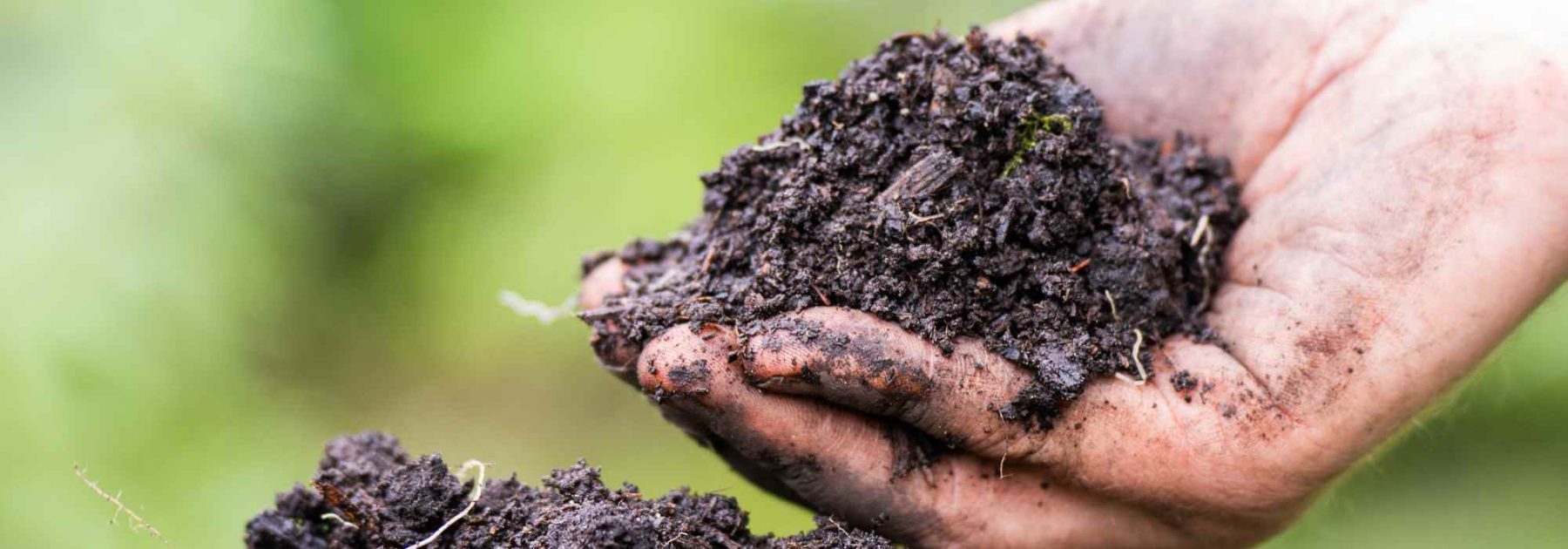 Comment enrichir son sol naturellement grâce aux amendements organiques ?