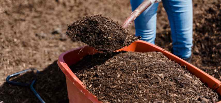 compost avantages pour le sol