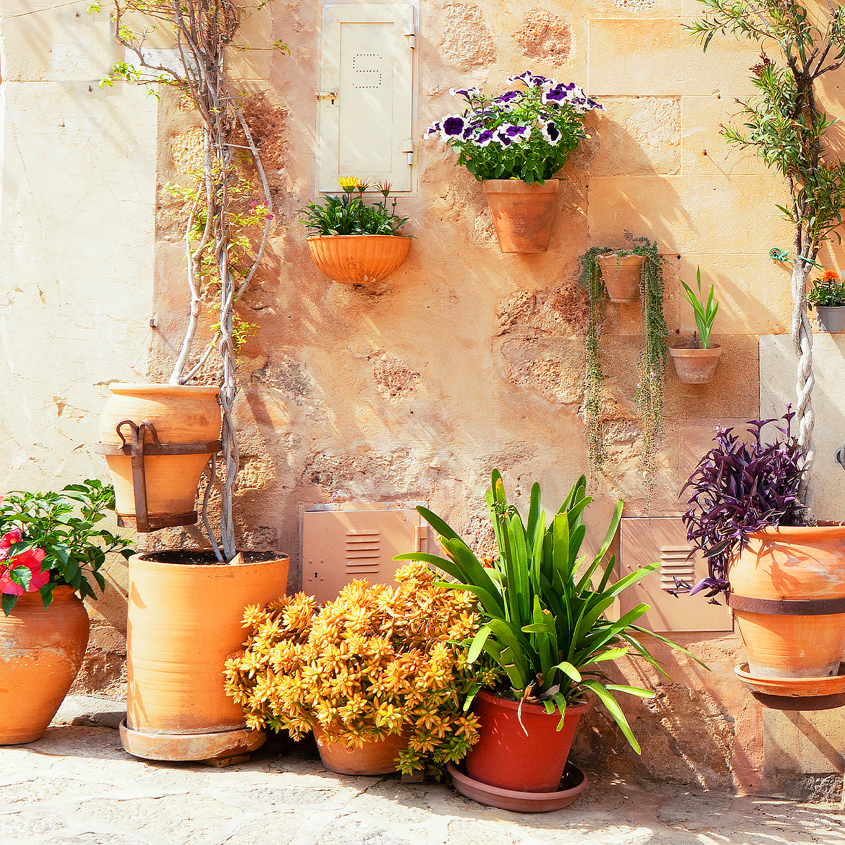 140 meilleures idées sur Pot de fleur exterieur  pot de fleur exterieur,  fleurs extérieures, pot de fleurs