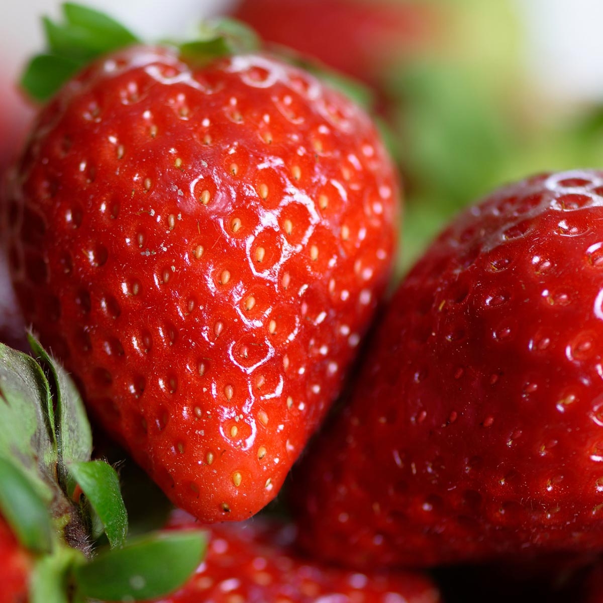 Fraises au potager : halte au pillage ! - Blog Promesse de fleurs