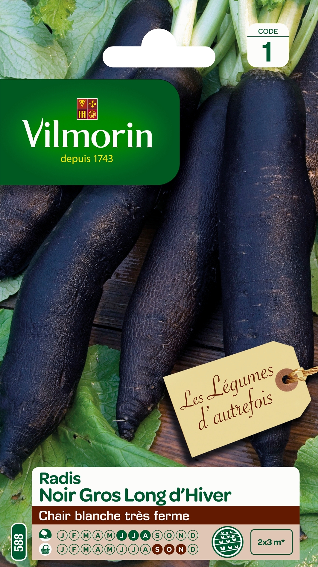 Graines de Radis noir Gros Long d'Hiver, potager Meilland Richardier