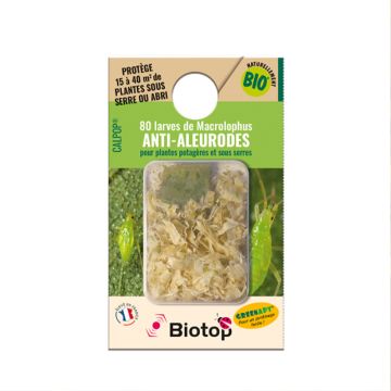 Adultes de Calpop® Biotop contre les aleurodes et acariens boîte de 80