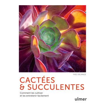 Cactées et succulentes - Comment les cultiver et les entretenir facilement