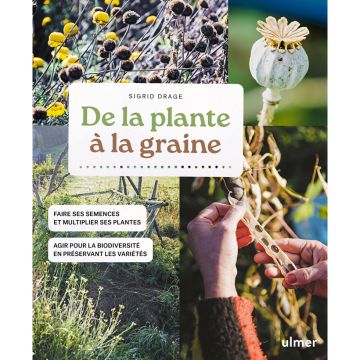 De la plante à la graine