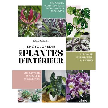 Encyclopédie des plantes d'intérieur