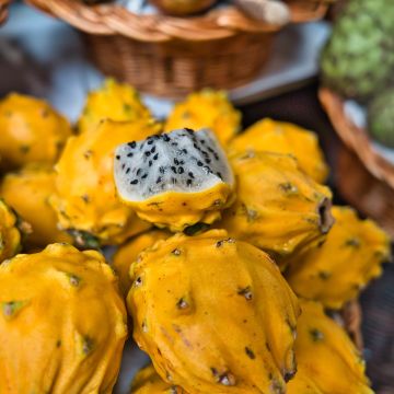 Hylocereus megalanthus - Pitaya, Fruit du dragon jaune