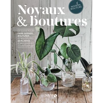 Noyaux et boutures