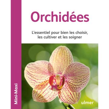 Orchidées - Mini Maxi