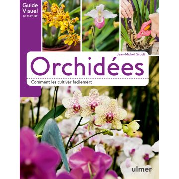 Orchidées - Comment les cultiver facilement