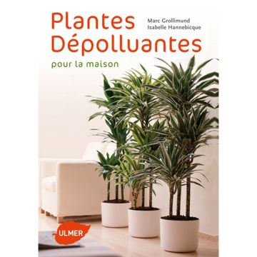 Plantes dépolluantes pour la maison