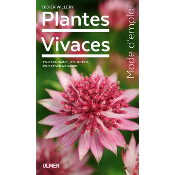 Plantes vivaces - mode d'emploi