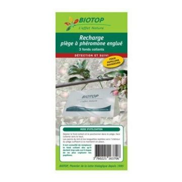 Recharge fonds collants pour piège Delta Biotop (lot de 3 fonds collants)