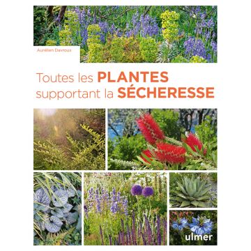 Toutes les plantes supportant la sécheresse