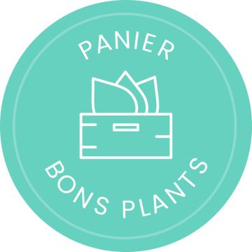 Panier Bons Plants spécial rosiers