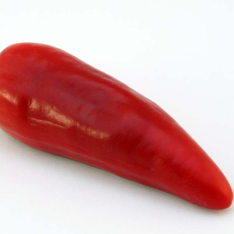 Piment Jalapeño Mexicain Bio Capsicum Annuum Graines De Piment Mexicain 