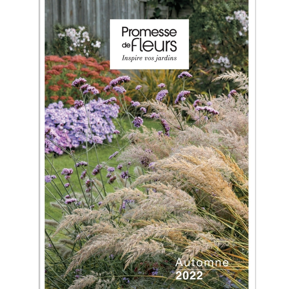 Catalogue Promesse de Fleurs