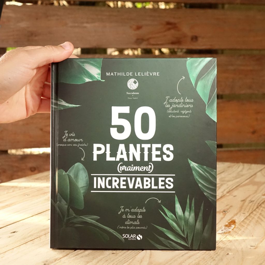 50 plantes (vraiment) increvables