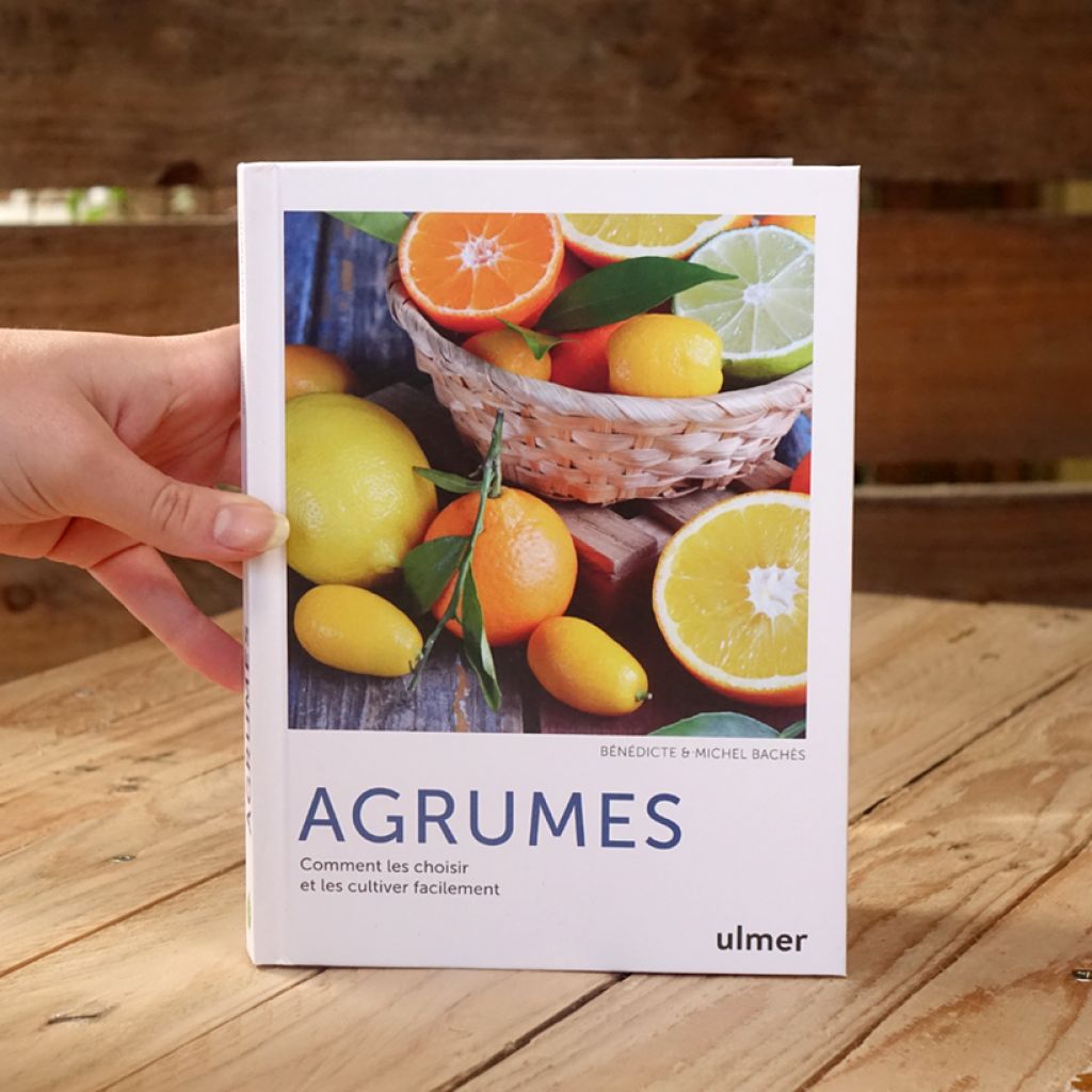 Agrumes - Comment les choisir et les cultiver facilement