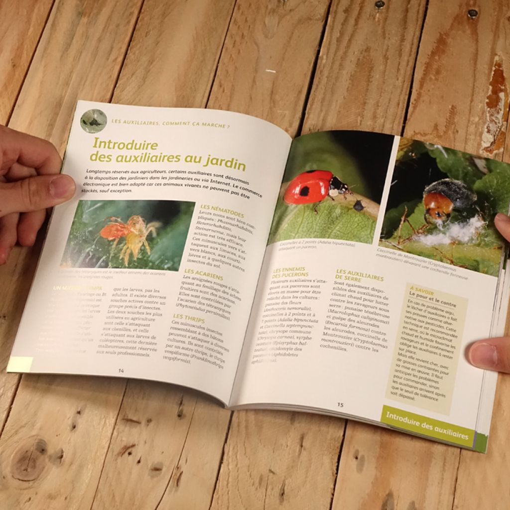 Les auxiliaires au jardin - Une solution alternative aux pesticides