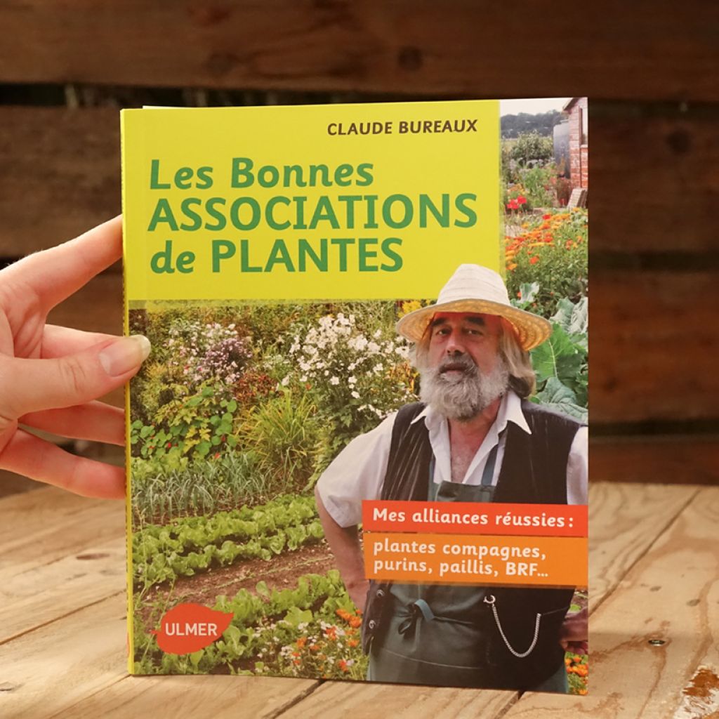 Bonnes associations de plantes. Mes alliances réussies