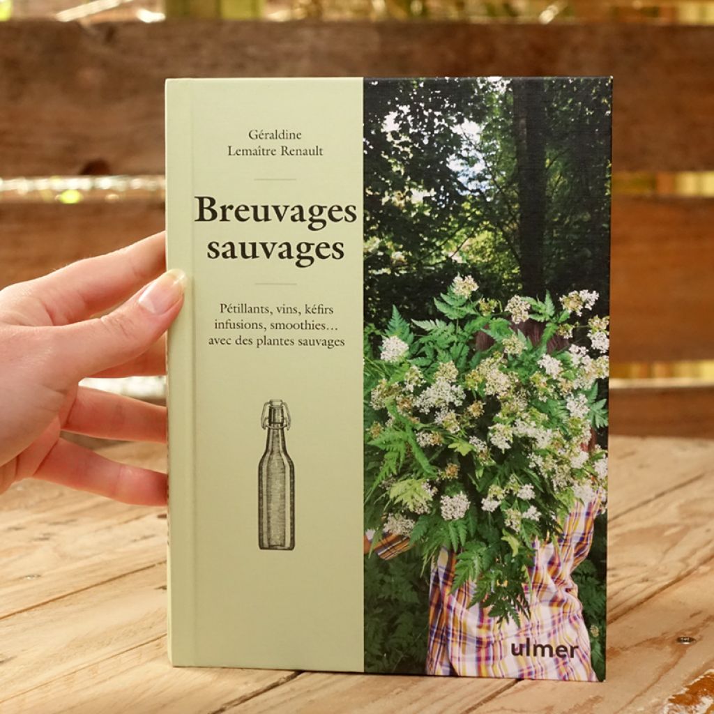 Breuvages sauvages - Pétillants, vins, kéfirs, infusions, smoothies ... avec des plantes sauvages