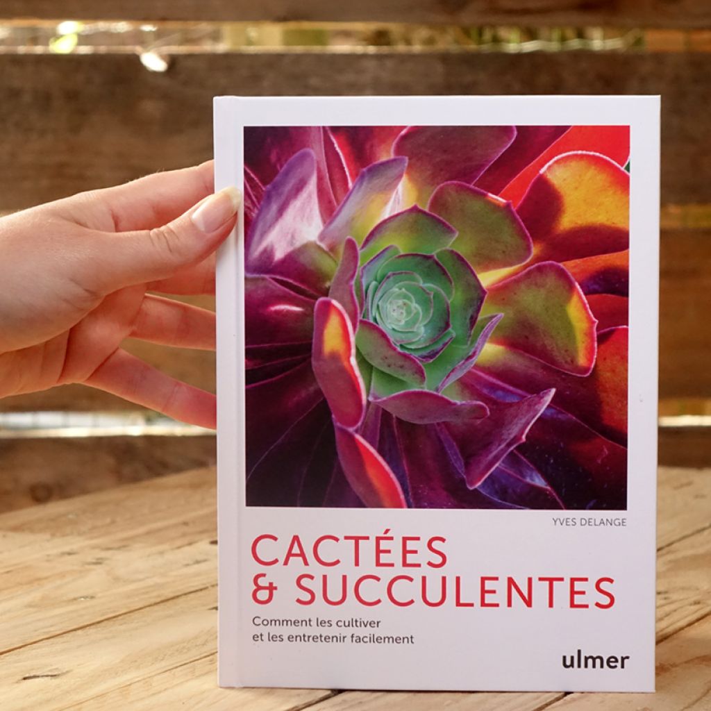 Cactées et succulentes - Comment les cultiver et les entretenir facilement