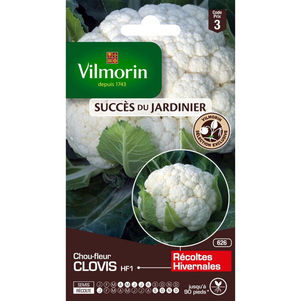 Vilmorin Graines Potagères Chou Rave, Blanc de Vienne, 2 g
