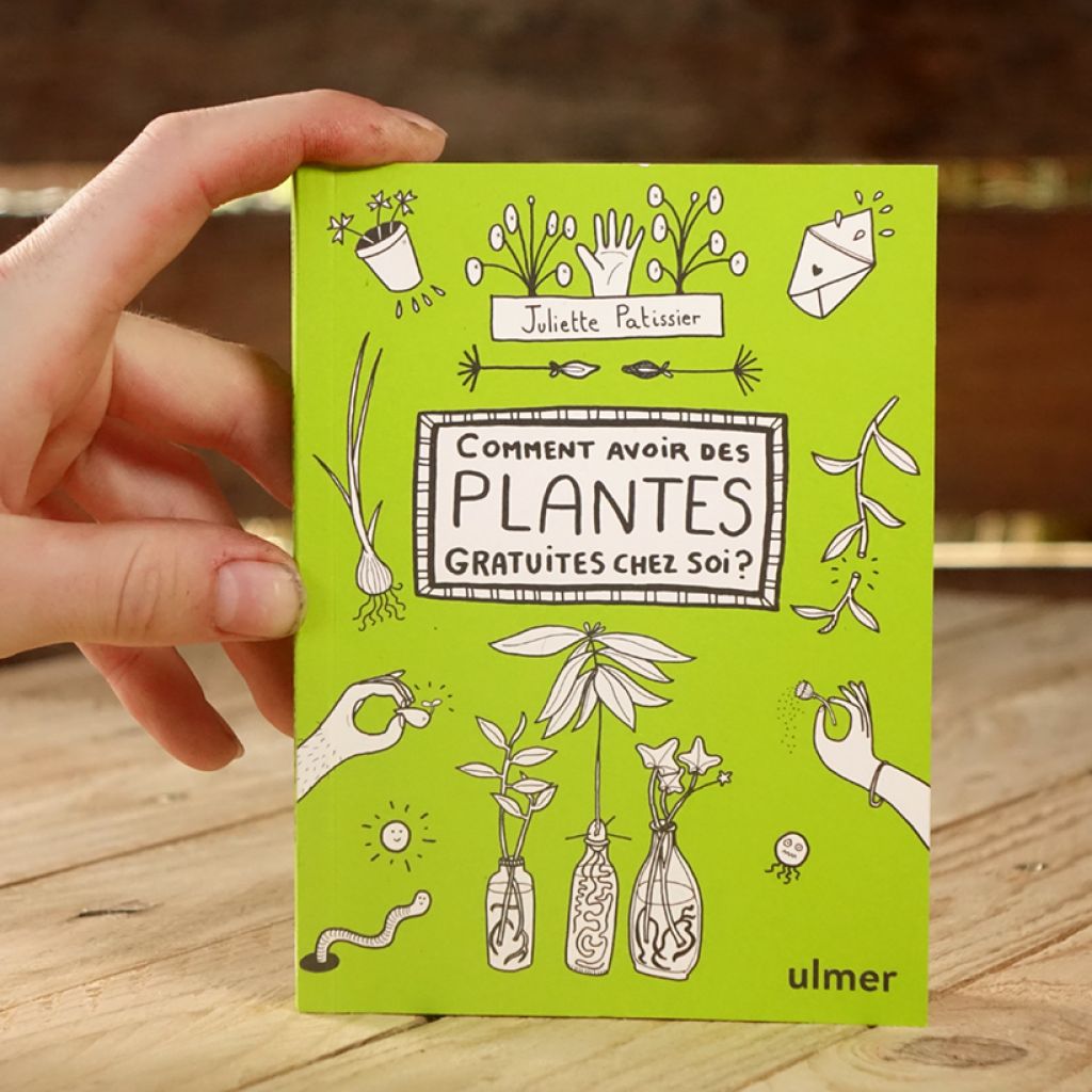 Comment avoir des plantes gratuites chez soi ?