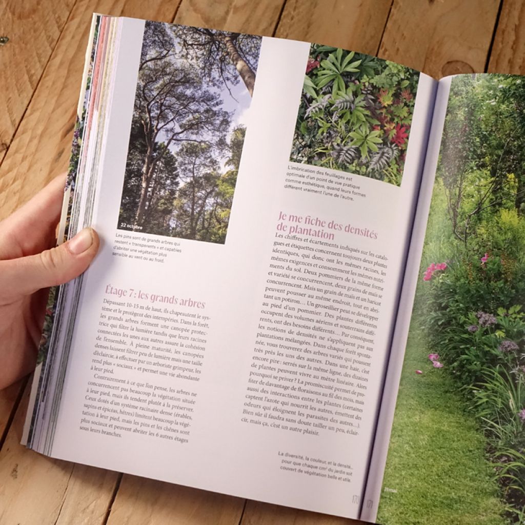 Créer son jardin résilient