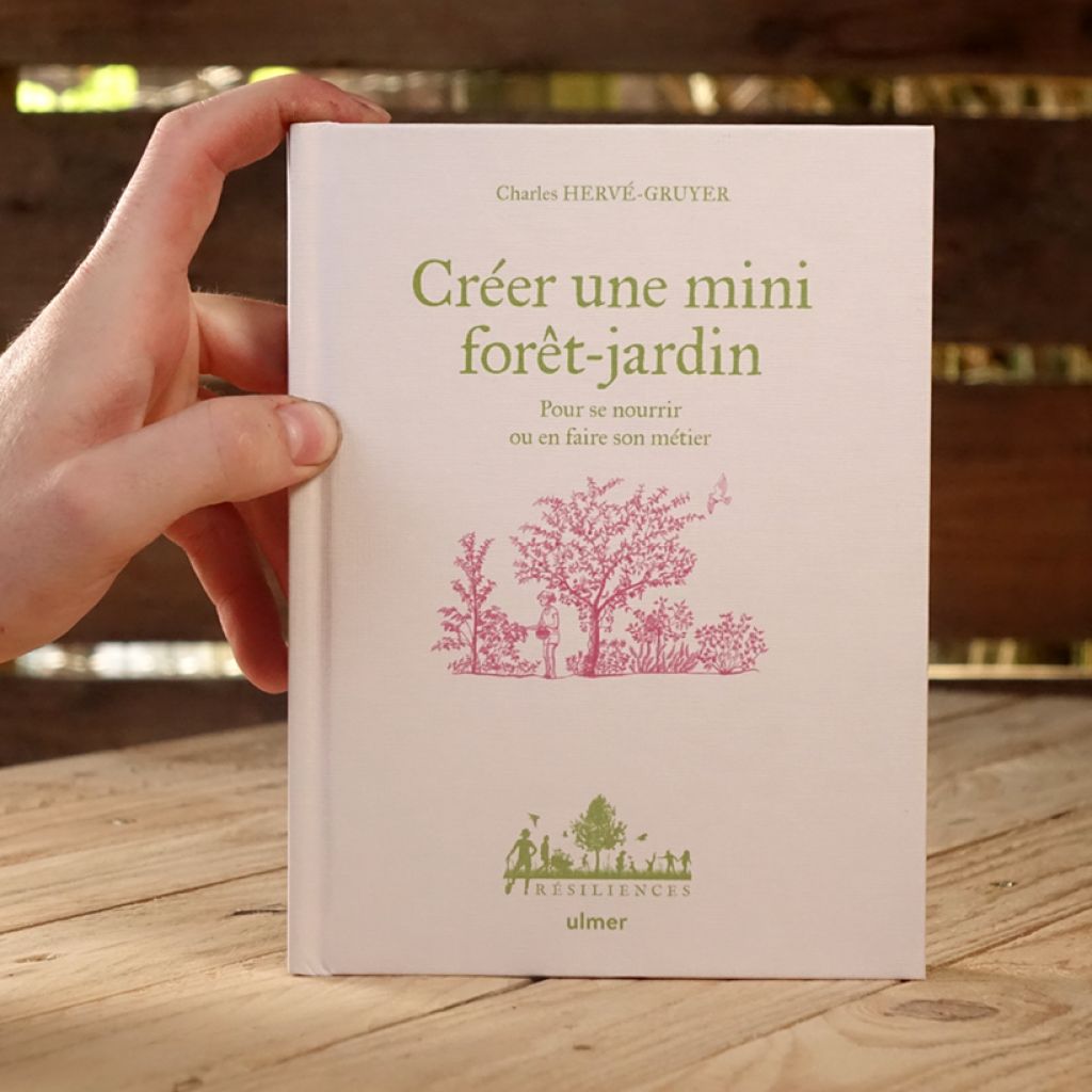 Créer une mini forêt-jardin - Pour se nourrir ou en faire son métier