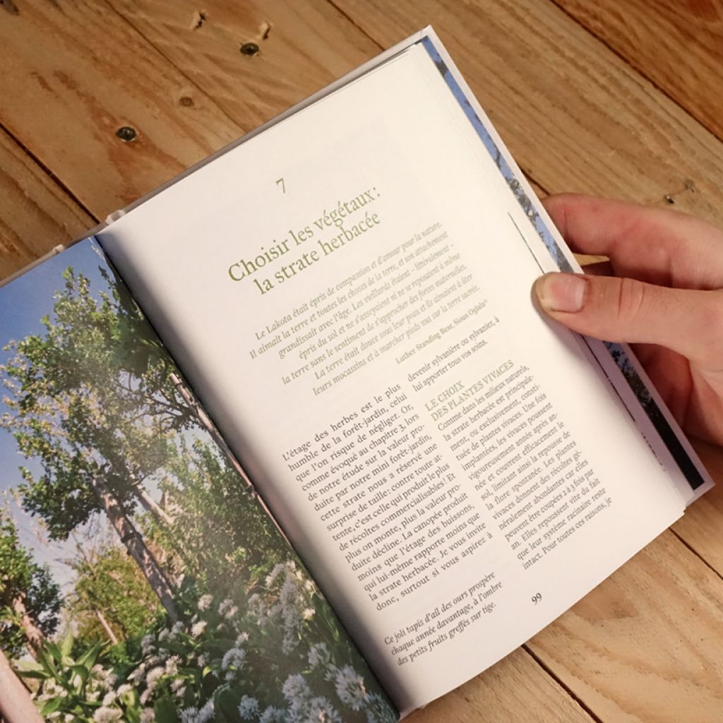 Créer une mini forêt-jardin - Pour se nourrir ou en faire son métier