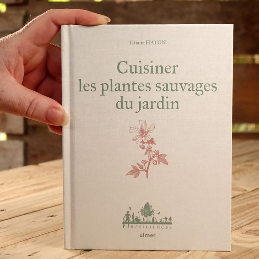 Cuisiner les plantes sauvages du jardin