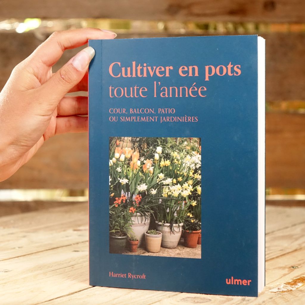 Cultiver en pots toute l'année - Cour, balcon, patio ou simplement jardinière