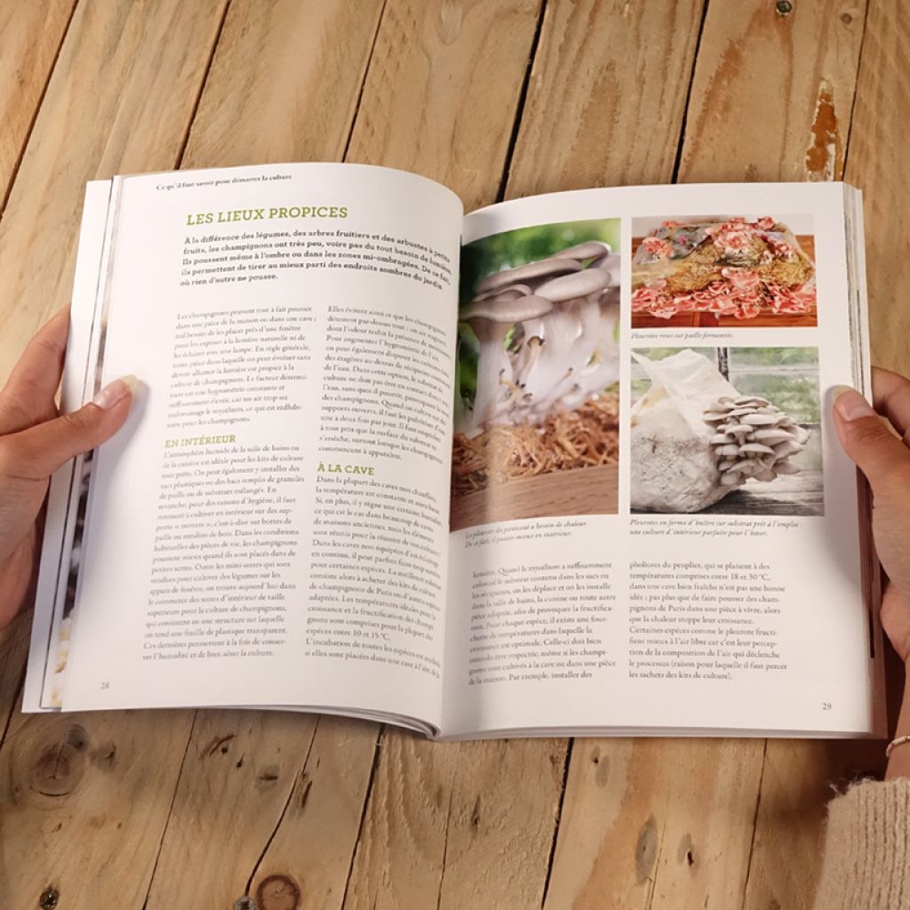 Cultiver les champignons - a la maison, sur le balcon, dans la cave et au jardin