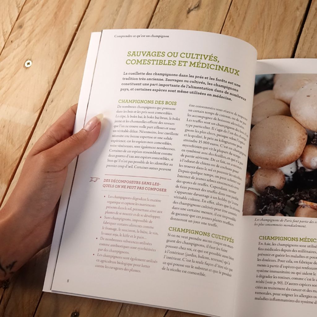 Cultiver les champignons - a la maison, sur le balcon, dans la cave et au jardin