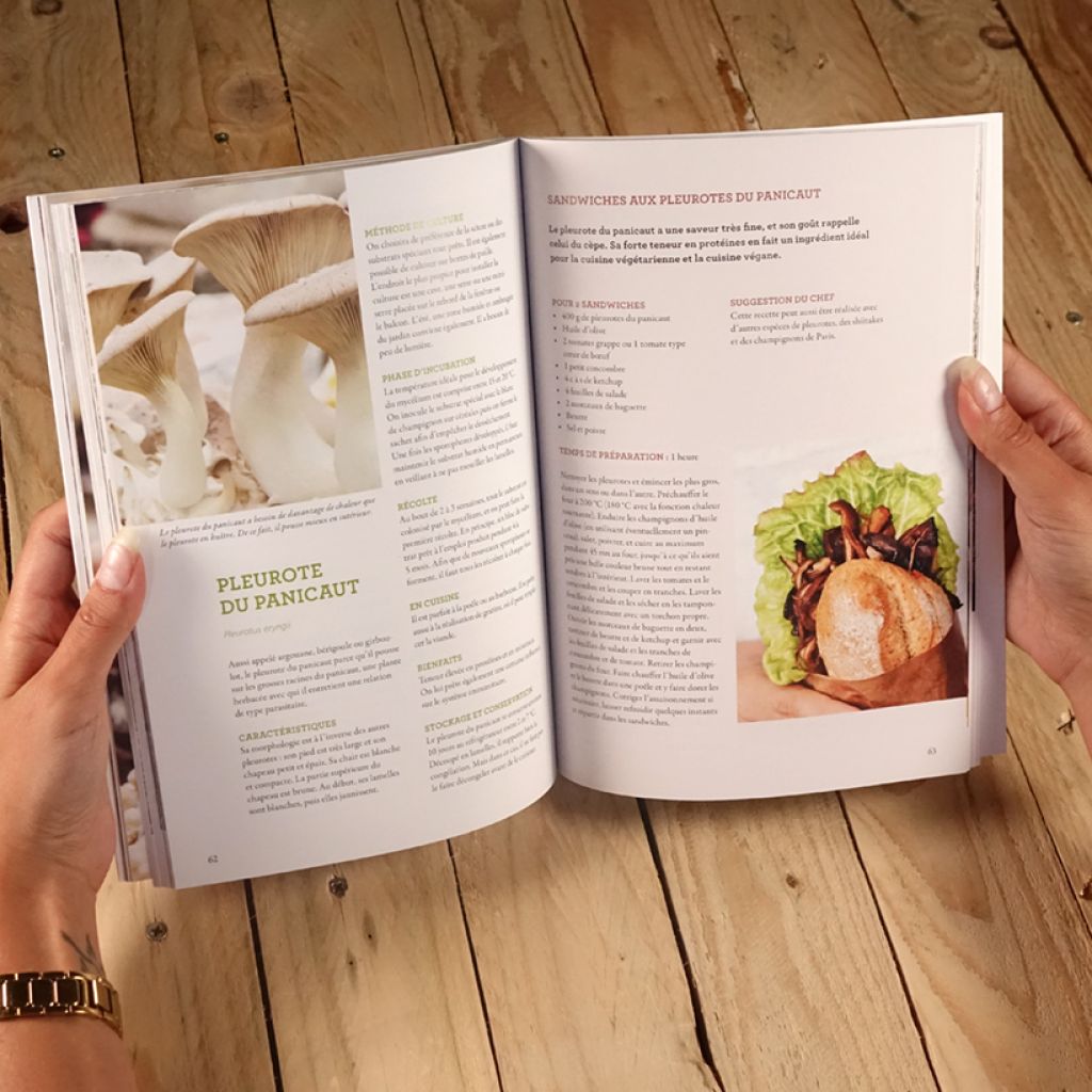 Cultiver les champignons - a la maison, sur le balcon, dans la cave et au jardin