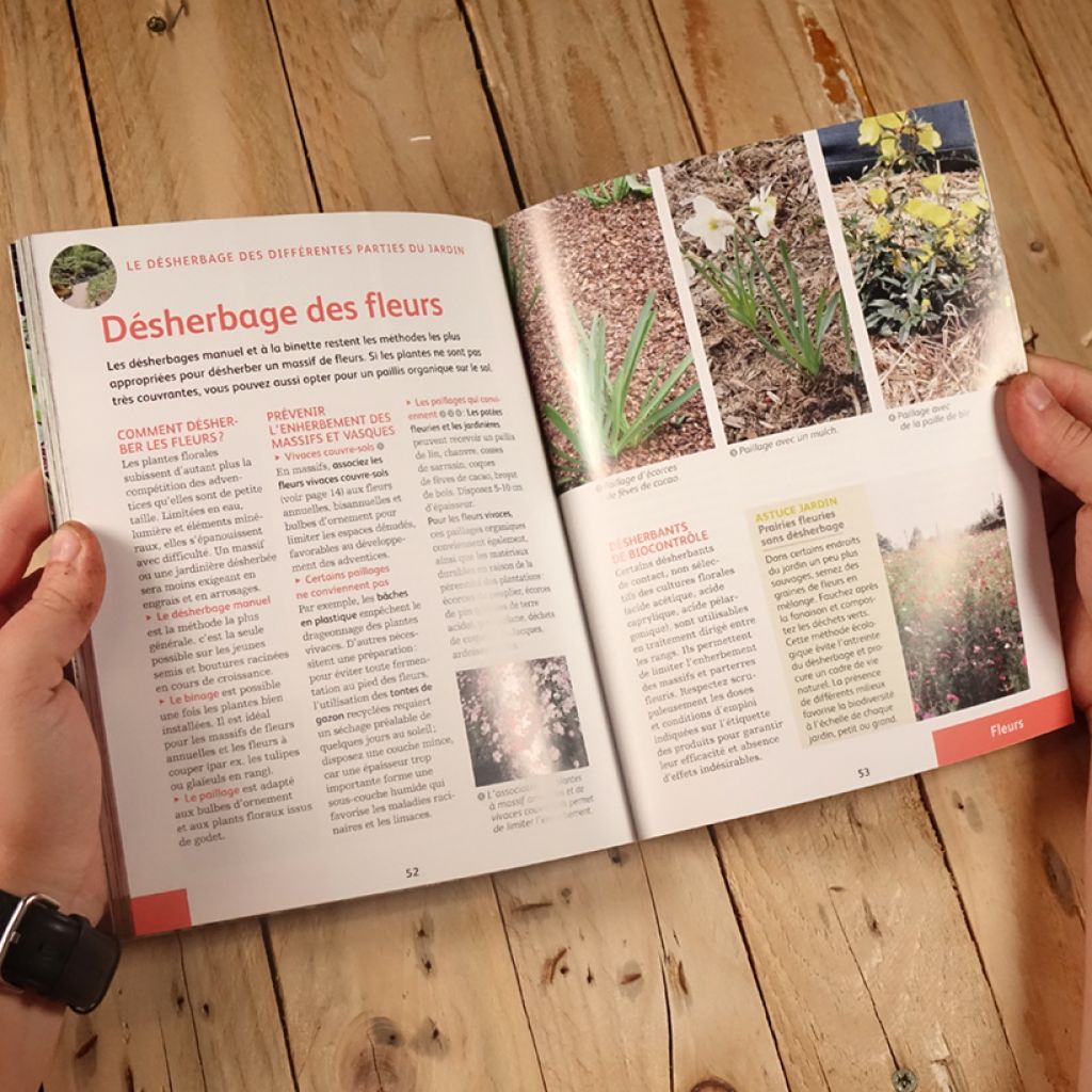 Désherber BIO - Les solutions zéro phyto pour jardins, potagers, cours, allées...