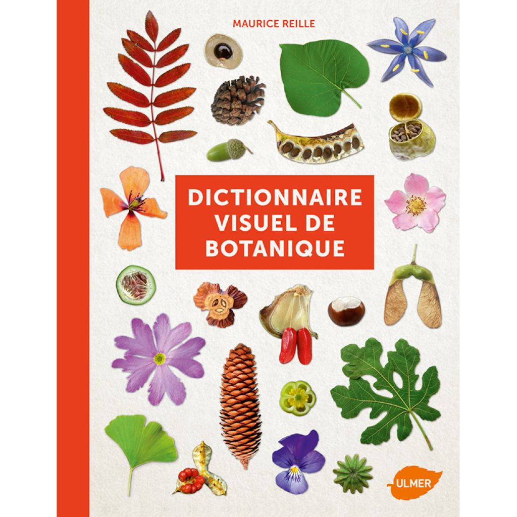 Dictionnaire visuel de botanique